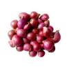 Onion Small Loose, 500 g01